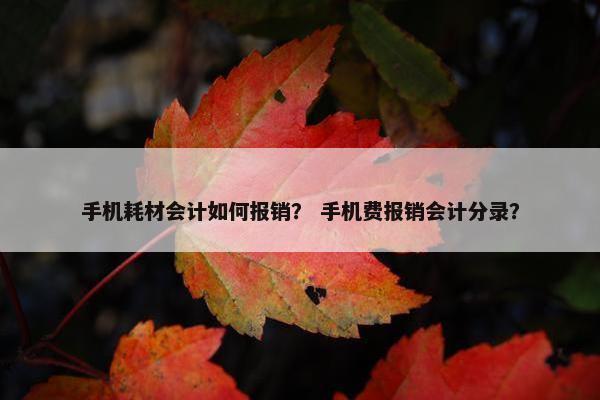 手机耗材会计如何报销？ 手机费报销会计分录？