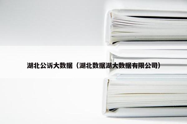 湖北公诉大数据（湖北数据湖大数据有限公司）