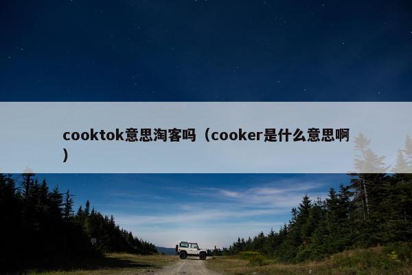 cooktok意思淘客吗（cooker是什么意思啊）