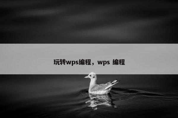 玩转wps编程，wps 编程