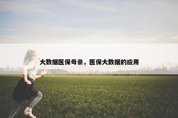 大数据医保母亲，医保大数据的应用