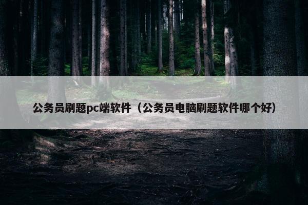 公务员刷题pc端软件（公务员电脑刷题软件哪个好）
