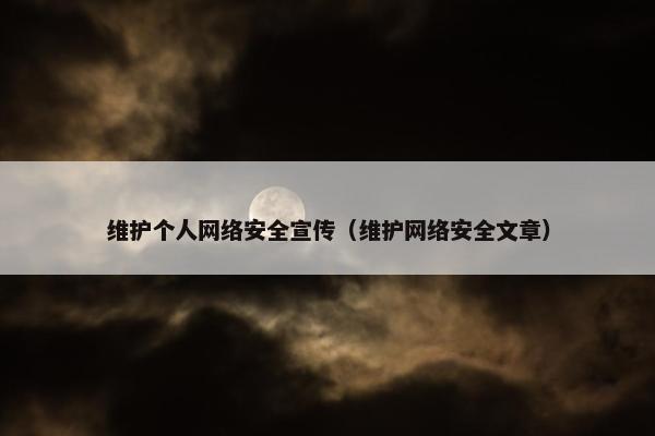 维护个人网络安全宣传（维护网络安全文章）