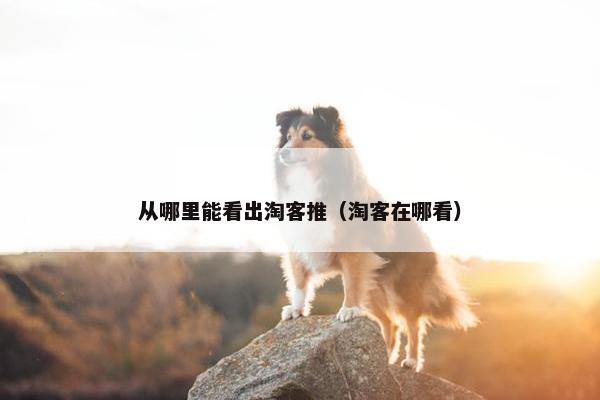 从哪里能看出淘客推（淘客在哪看）