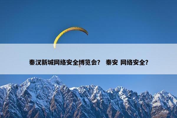 秦汉新城网络安全博览会？ 秦安 网络安全？