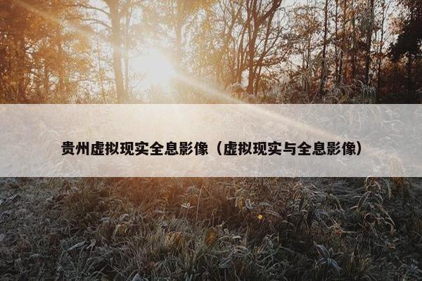 贵州虚拟现实全息影像（虚拟现实与全息影像）