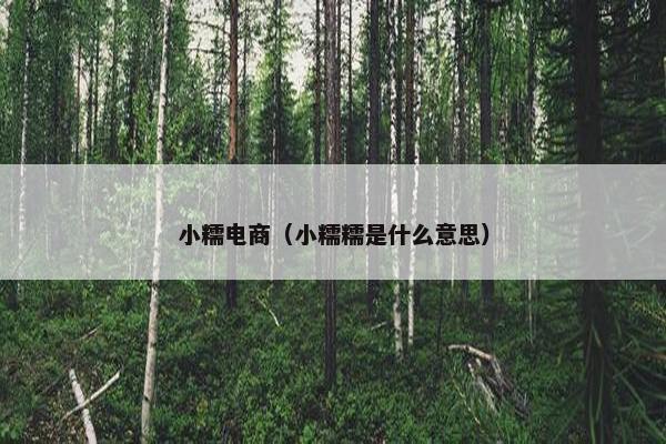 小糯电商（小糯糯是什么意思）