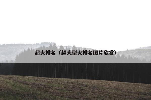 超大排名（超大型犬排名图片欣赏）