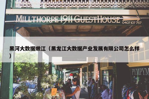 黑河大数据嫩江（黑龙江大数据产业发展有限公司怎么样）