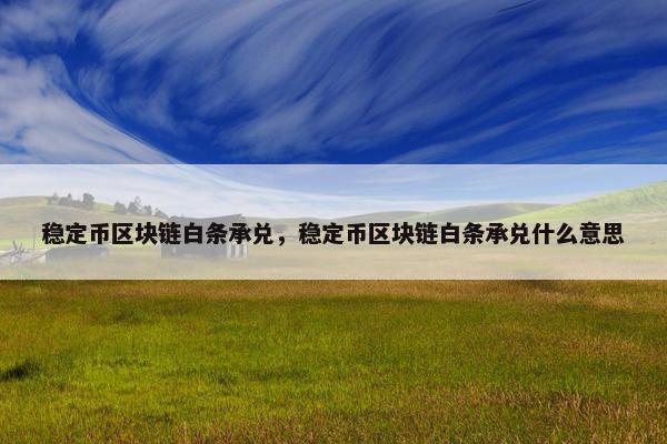 稳定币区块链白条承兑，稳定币区块链白条承兑什么意思