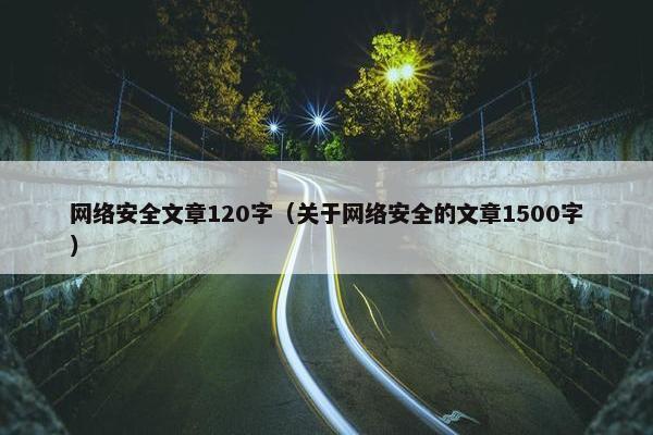 网络安全文章120字（关于网络安全的文章1500字）