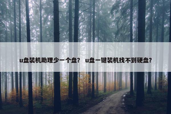 u盘装机助理少一个盘？ u盘一键装机找不到硬盘？