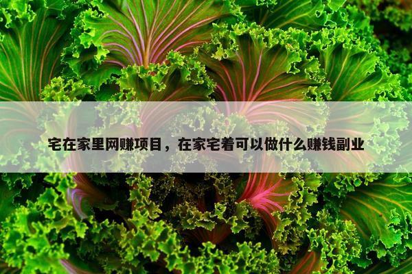 宅在家里网赚项目，在家宅着可以做什么赚钱副业