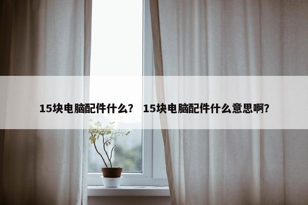 15块电脑配件什么？ 15块电脑配件什么意思啊？