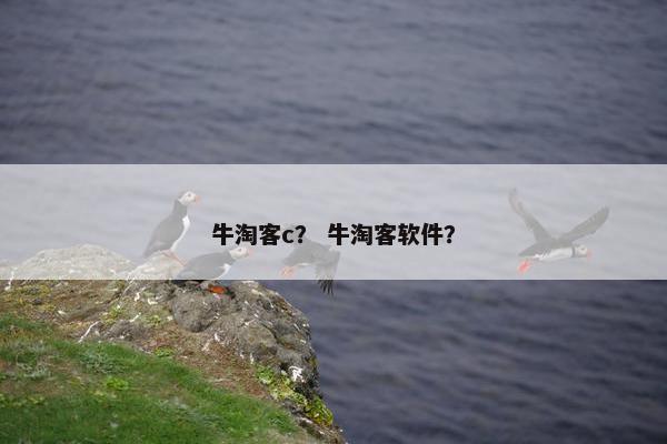牛淘客c？ 牛淘客软件？