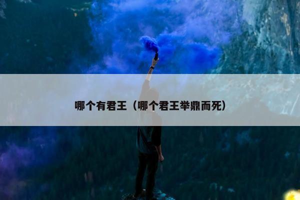 哪个有君王（哪个君王举鼎而死）