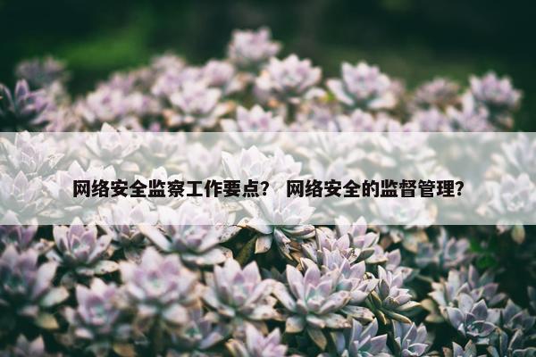 网络安全监察工作要点？ 网络安全的监督管理？