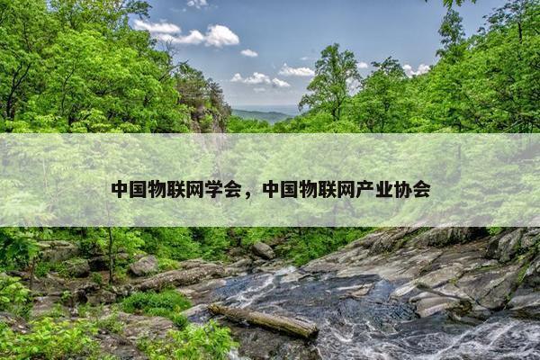 中国物联网学会，中国物联网产业协会