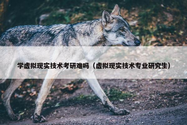 学虚拟现实技术考研难吗（虚拟现实技术专业研究生）