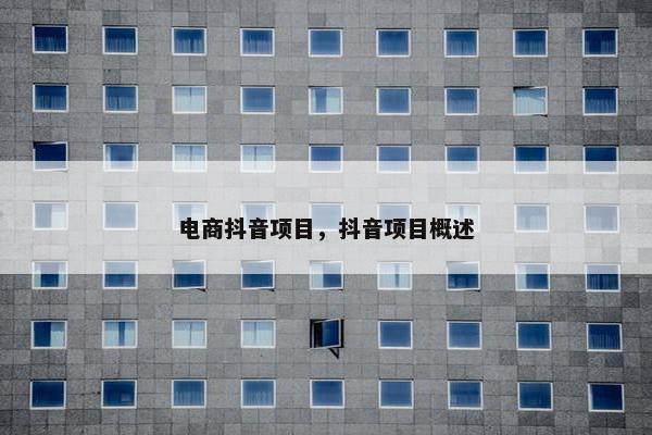 电商抖音项目，抖音项目概述