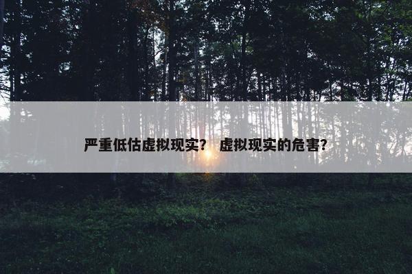 严重低估虚拟现实？ 虚拟现实的危害？