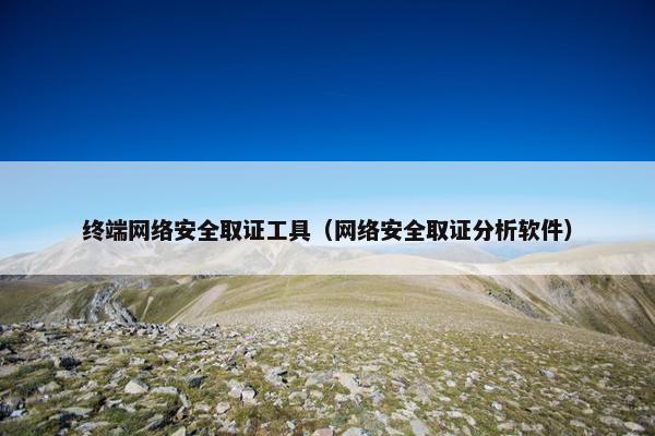 终端网络安全取证工具（网络安全取证分析软件）