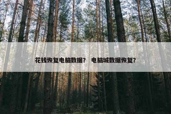 花钱恢复电脑数据？ 电脑城数据恢复？