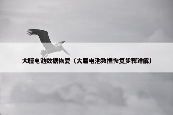 大疆电池数据恢复（大疆电池数据恢复步骤详解）