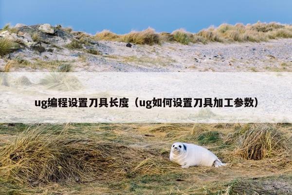 ug编程设置刀具长度（ug如何设置刀具加工参数）
