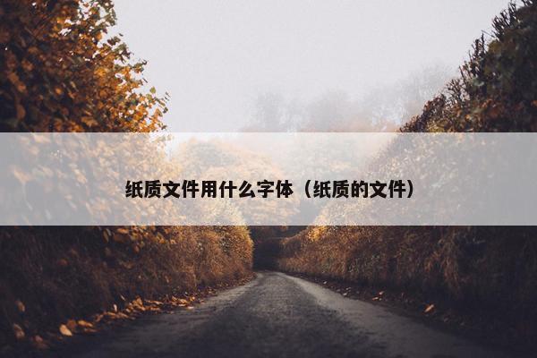 纸质文件用什么字体（纸质的文件）