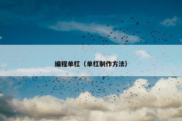 编程单杠（单杠制作方法）