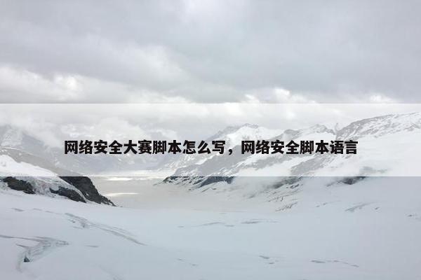 网络安全大赛脚本怎么写，网络安全脚本语言