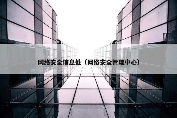 网络安全信息处（网络安全管理中心）