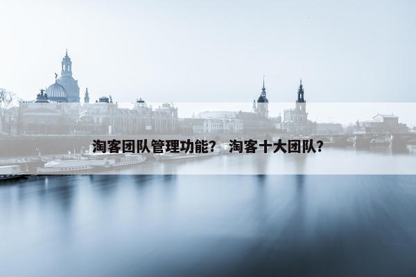 淘客团队管理功能？ 淘客十大团队？