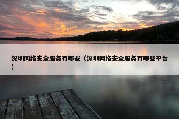 深圳网络安全服务有哪些（深圳网络安全服务有哪些平台）