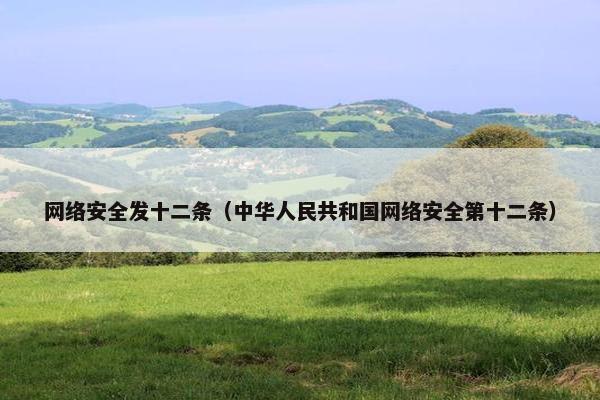 网络安全发十二条（中华人民共和国网络安全第十二条）