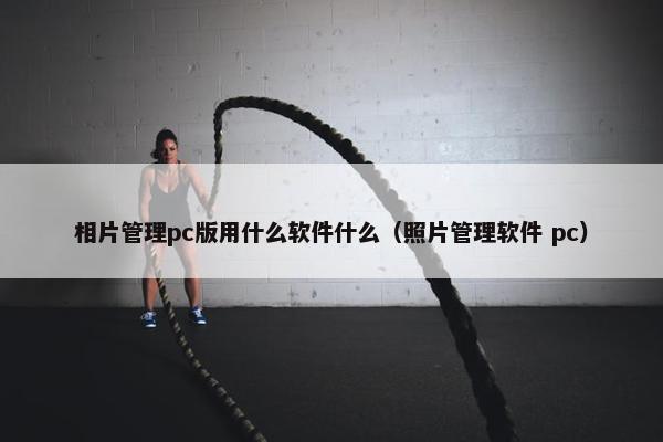相片管理pc版用什么软件什么（照片管理软件 pc）