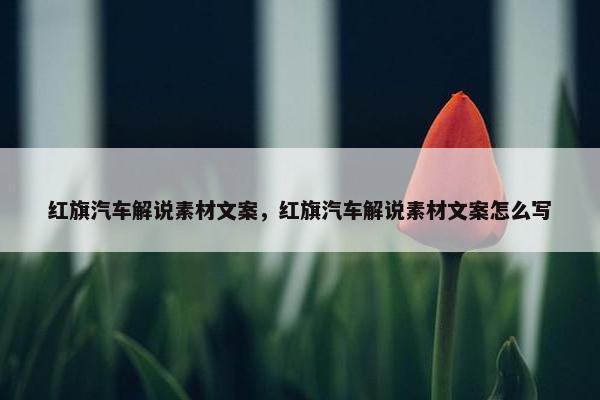 红旗汽车解说素材文案，红旗汽车解说素材文案怎么写