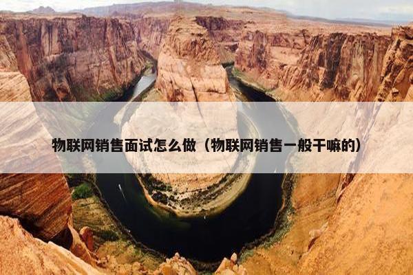 物联网销售面试怎么做（物联网销售一般干嘛的）