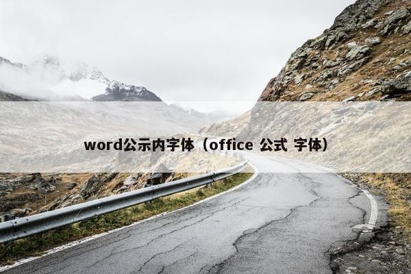word公示内字体（office 公式 字体）