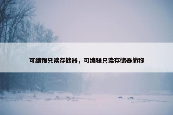 可编程只读存储器，可编程只读存储器简称