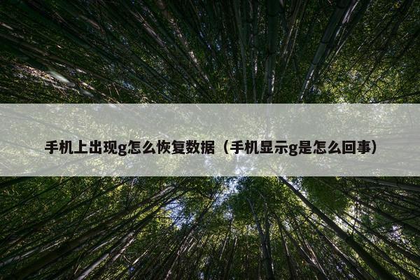 手机上出现g怎么恢复数据（手机显示g是怎么回事）
