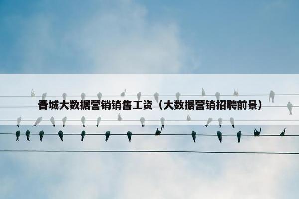 晋城大数据营销销售工资（大数据营销招聘前景）