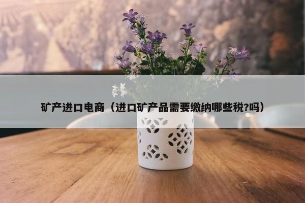 矿产进口电商（进口矿产品需要缴纳哪些税?吗）