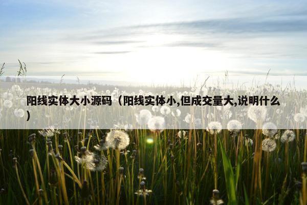 阳线实体大小源码（阳线实体小,但成交量大,说明什么）