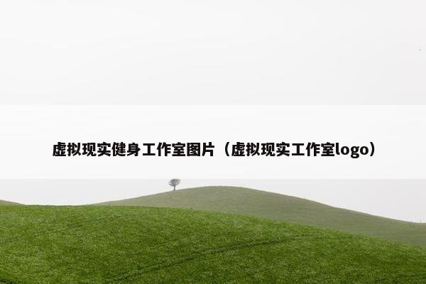 虚拟现实健身工作室图片（虚拟现实工作室logo）