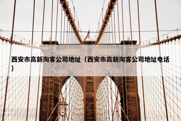 西安市高新淘客公司地址（西安市高新淘客公司地址电话）
