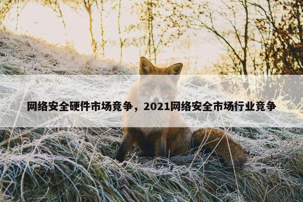 网络安全硬件市场竞争，2021网络安全市场行业竞争