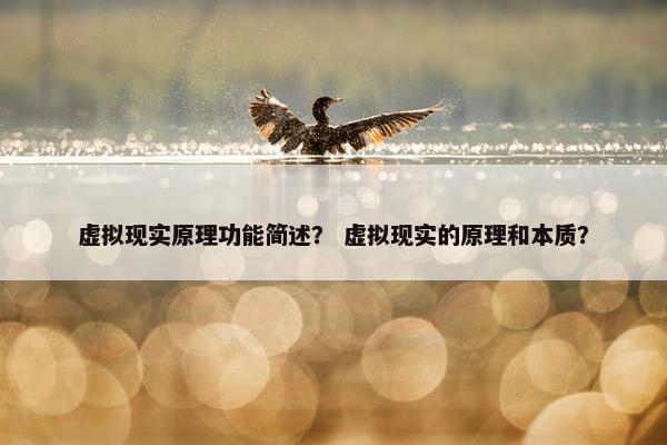 虚拟现实原理功能简述？ 虚拟现实的原理和本质？