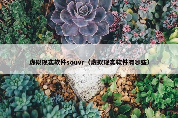 虚拟现实软件souvr（虚拟现实软件有哪些）
